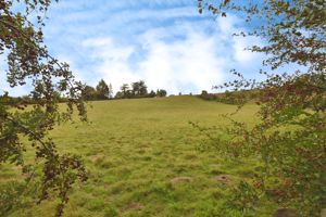 Photo 15- click for photo gallery